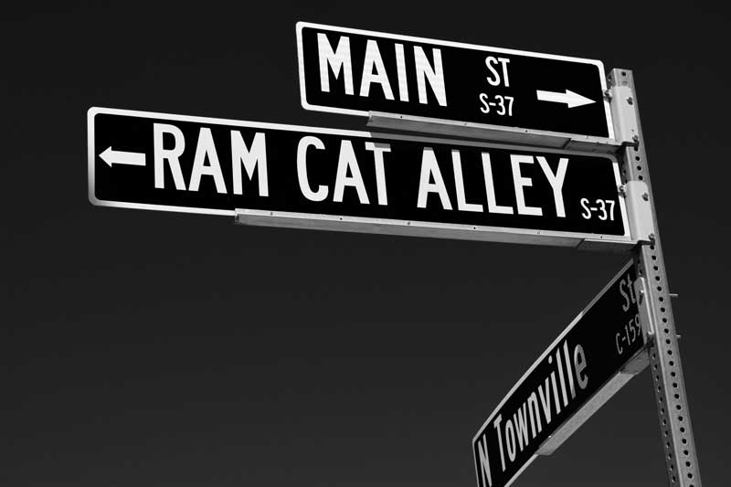 Ram Cat Alley
