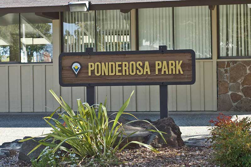 Ponderosa Park