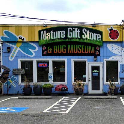 Bremerton Bug and Reptile Museum