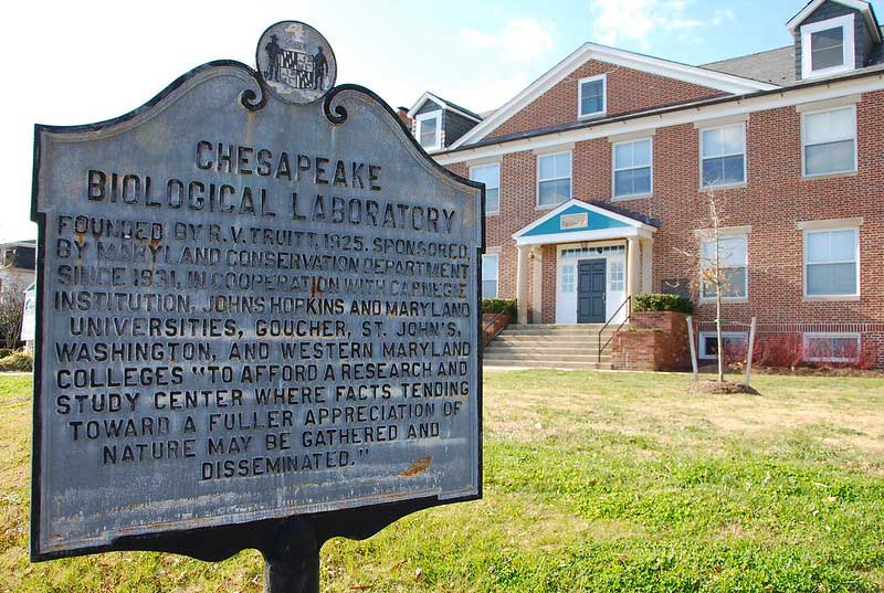 Chesapeake Biological Laboratory