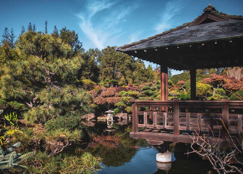 Hayward's Japanese Gardens