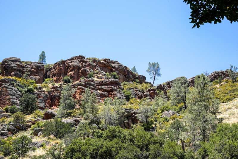 Pinnacles National Park