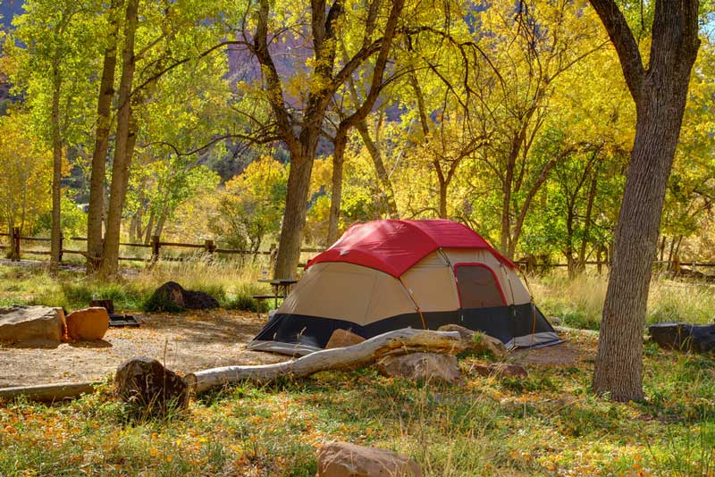 Autumn tent camping in Zion National Park