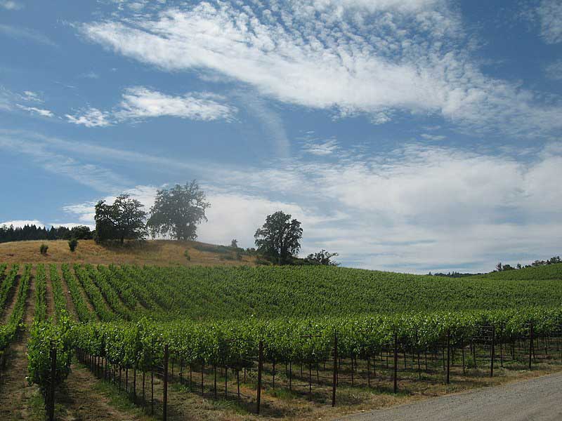 Russian River Valley Wine Tours
