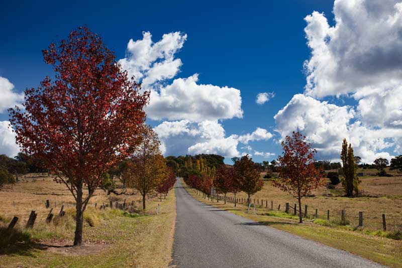 Tenterfield, New South Wales