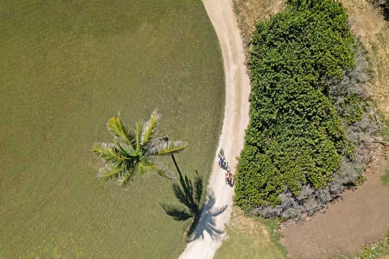 Palm Island Grenadines hiking trails