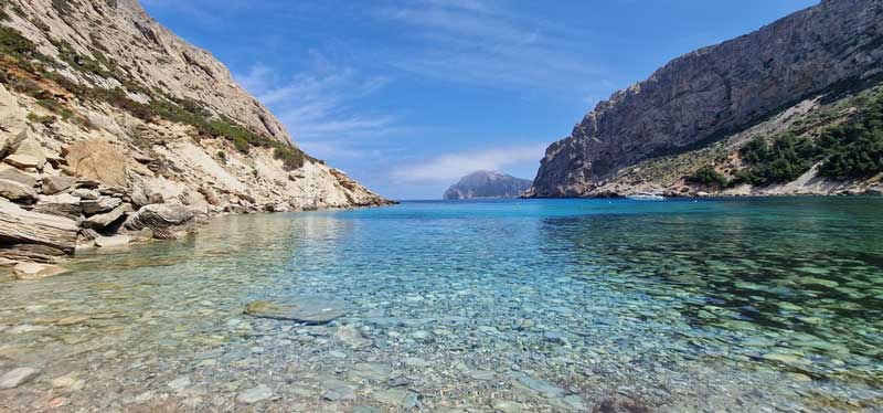 The mauve stinger jellyfish on the beach cala boquer hidden gem nestled along the rugged coastline near Pollenca