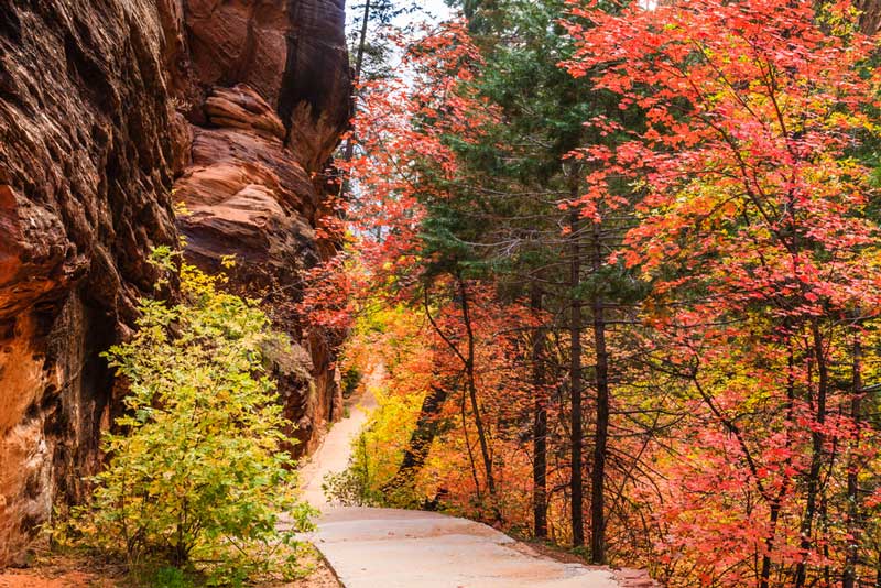 Hiking path in Zion National Park