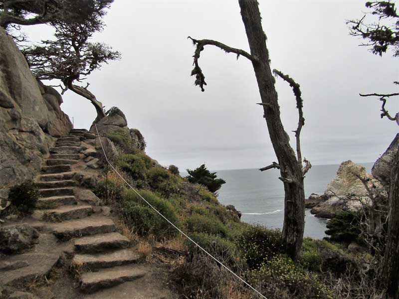 Point Lobos Loop Trail, Point Lobos State Natural Reserve, California
