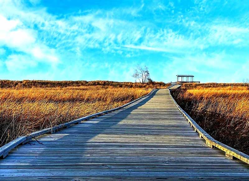 Headlands Beach State Park, Ohio