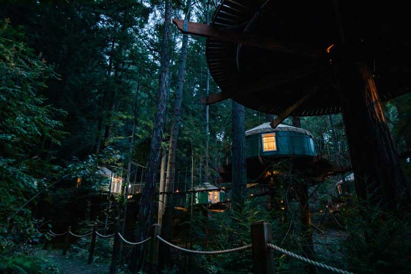 Sonoma Treehouse Adventures