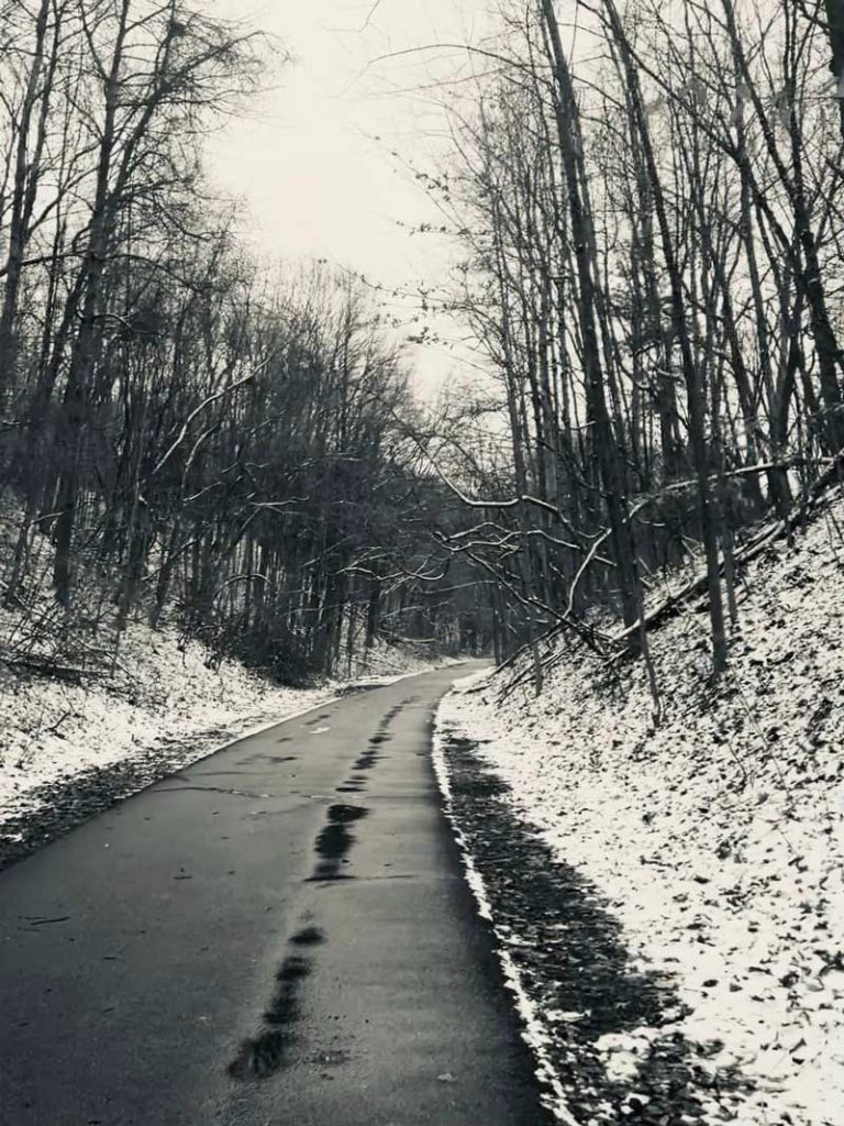 20 Best amp Fun Things to Do in Rockford - White Pine Trail State Park 768x1024 