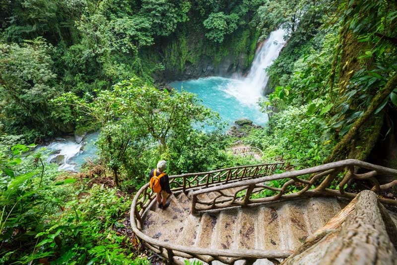 Rainforest jungle of Costa Rica