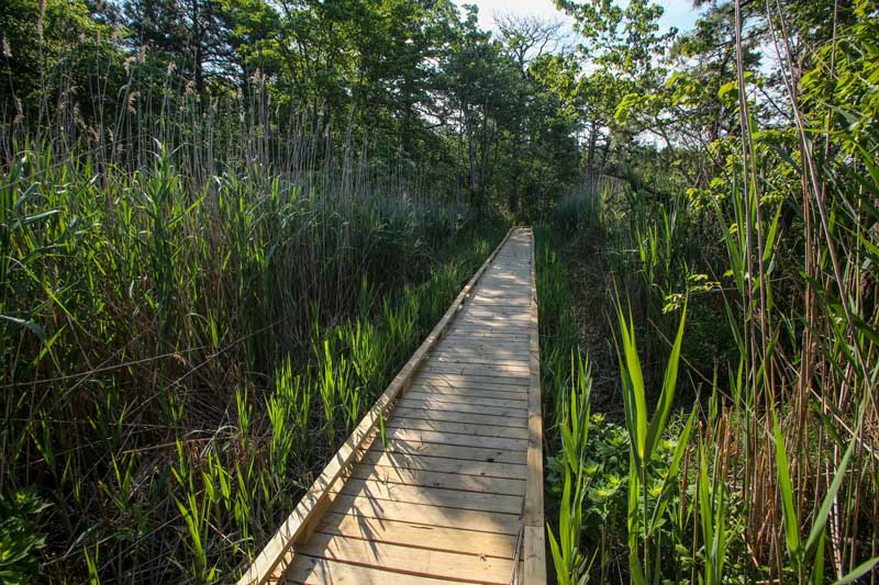 Beaver Dam Creek Walking Trail