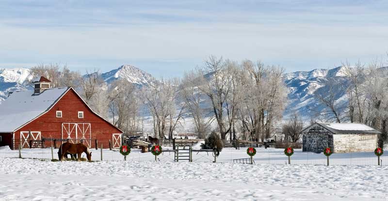 Bozeman