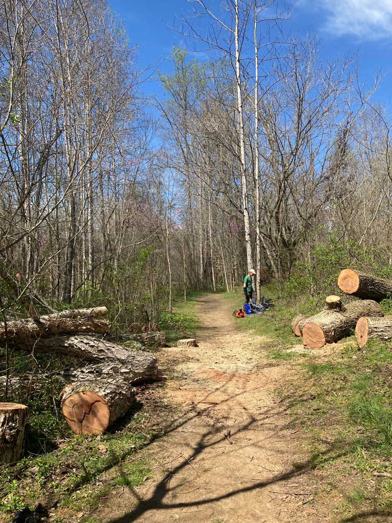 Forney Creek Trail