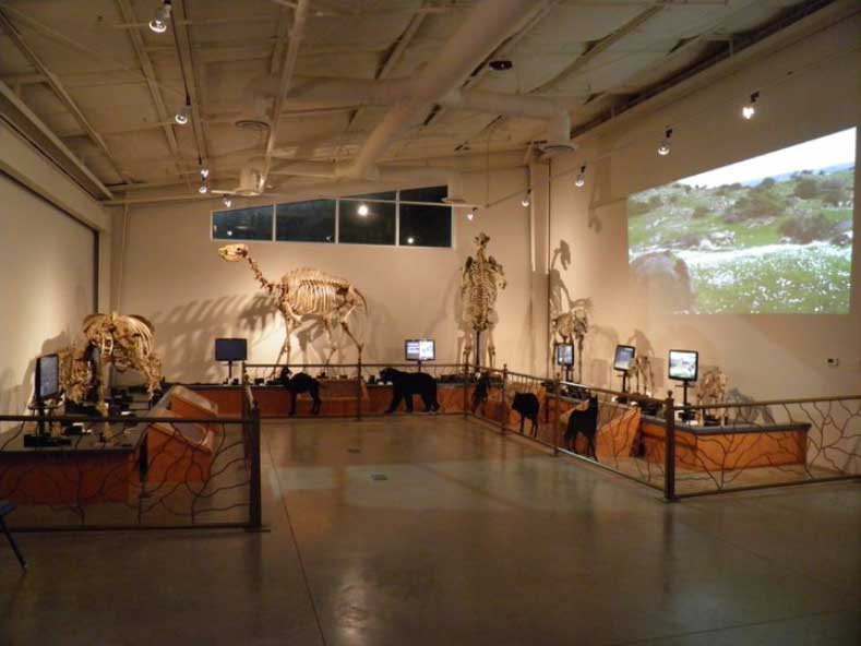 Fossil Discovery Center of Madera County