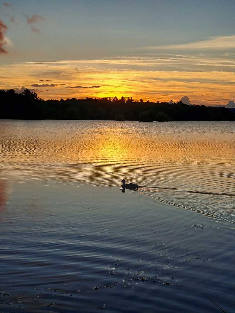 Horn Pond