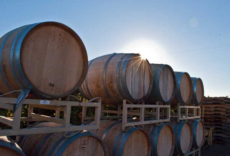 Madera Wine Trail