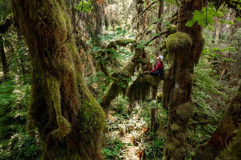 Olympic National Park