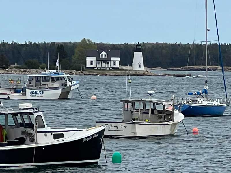 Schoodic Woods Campground in Winter Harbor, Maine