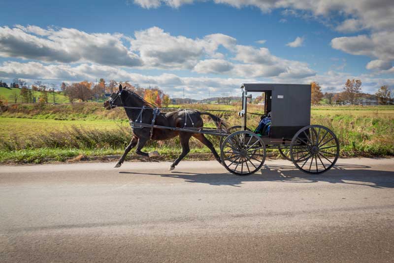 Amish Country