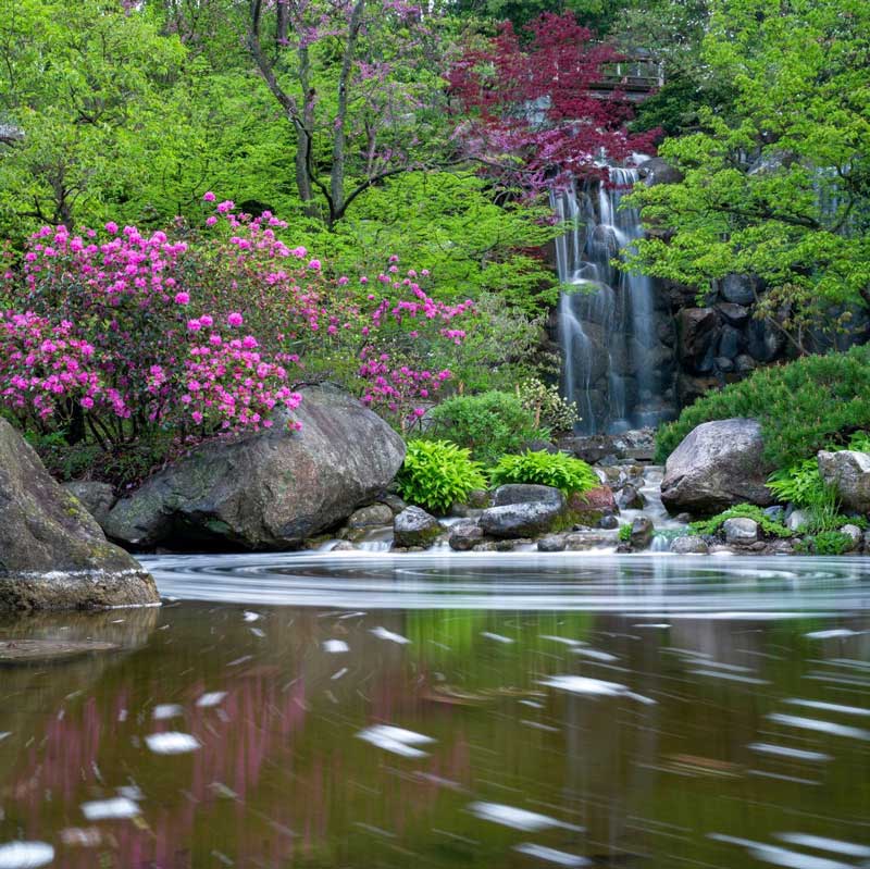 Anderson Japanese Gardens