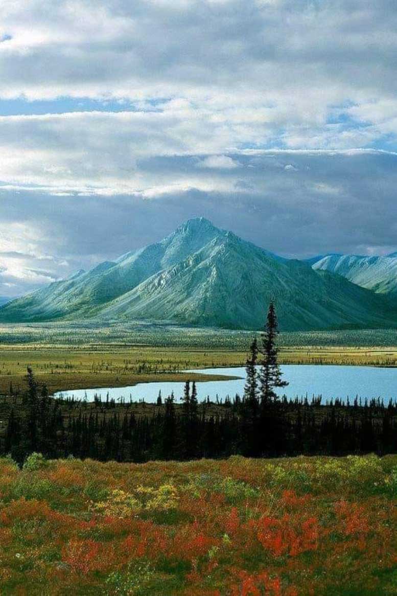 Arctic National Wildlife Refuge