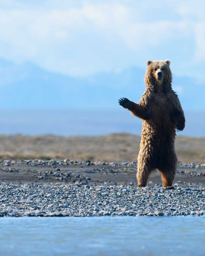 Arctic National Wildlife Refuge