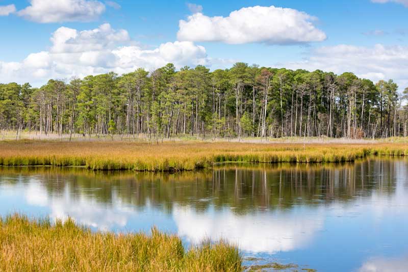 Blackwater National Wildlife Refuge