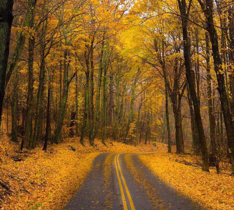 Blue Ridge Parkway, Virginia to North Carolina