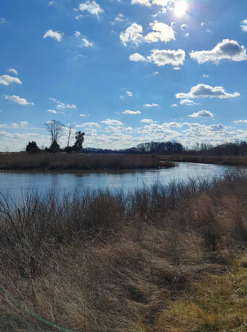 Bombay Hook National Wildlife Refuge