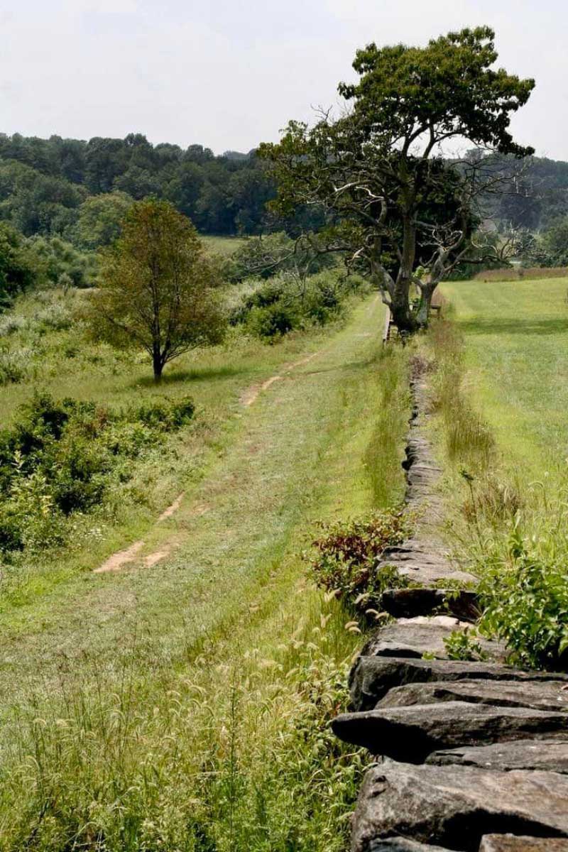 Brandywine Creek State Park