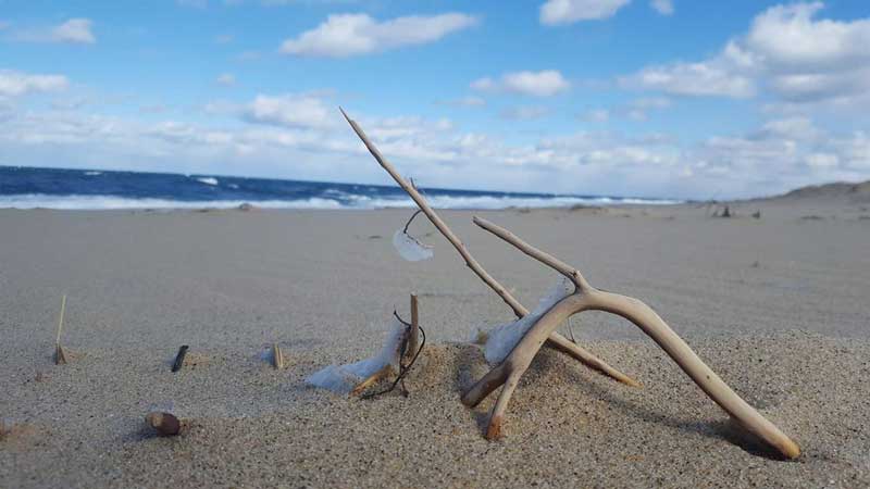 Cape Cod National Seashore