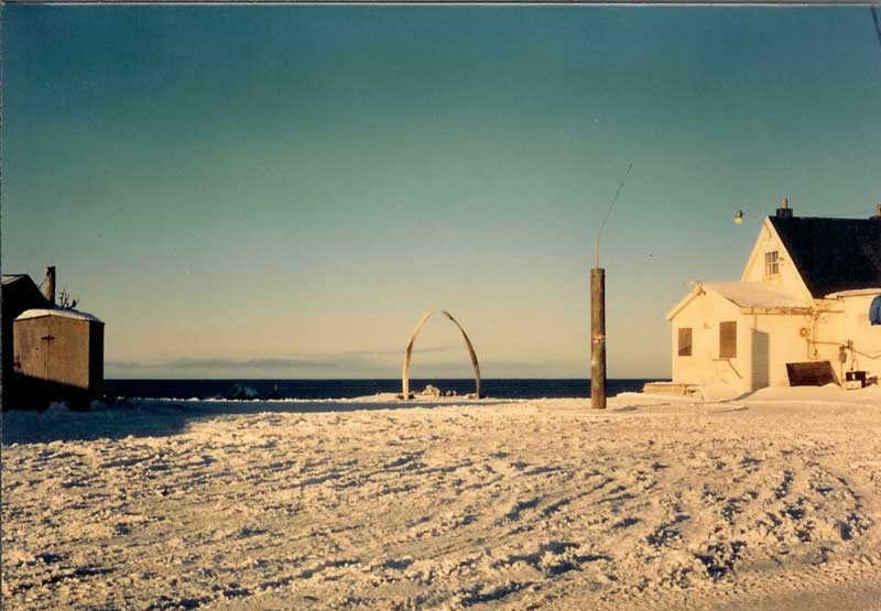 Cape Smythe Whaling and Trading Station