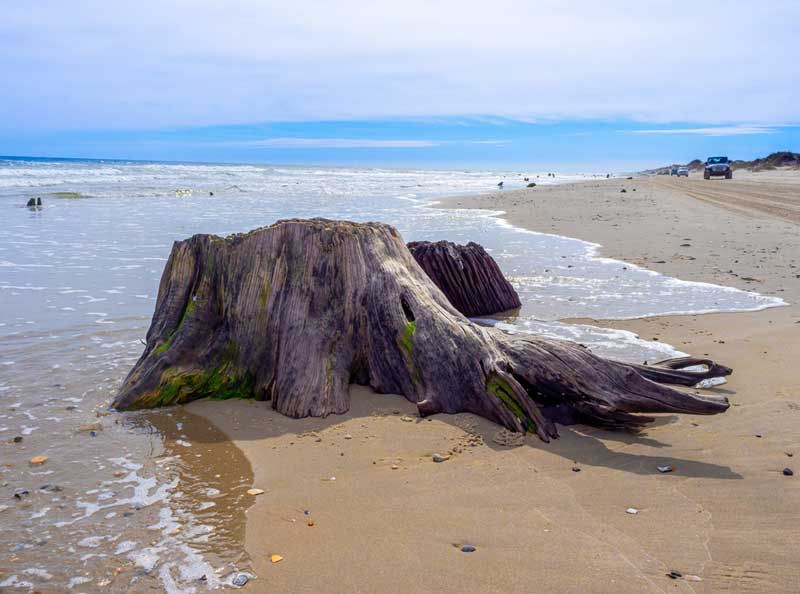 Carova Beach, North Carolina