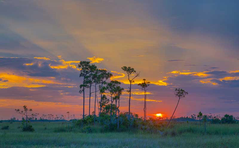 Everglades National Park