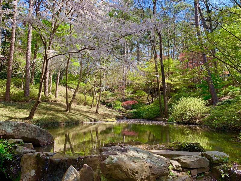 Garvan Woodland Gardens