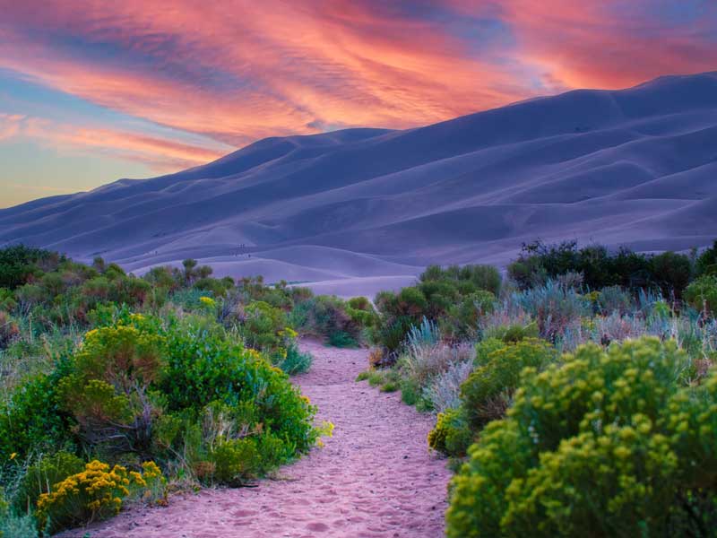 Great Sand Dunes National Park and Preserve