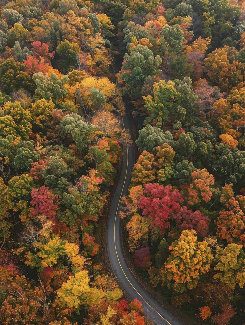 Great Smoky Mountains National Park (Tennessee, North Carolina)