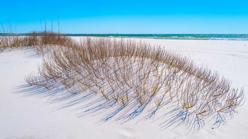 Gulf Islands National Seashore