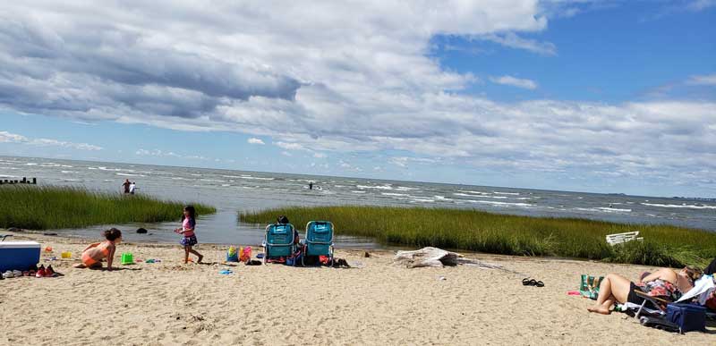 Harvey's Beach