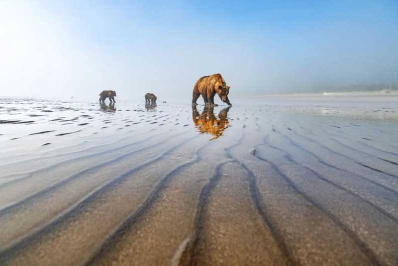 Lake Clark National Park and Preserve