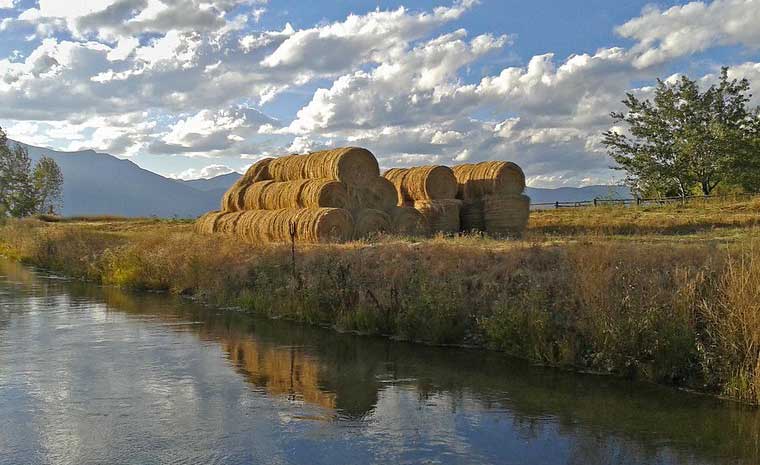 Montana Dinosaur Trail