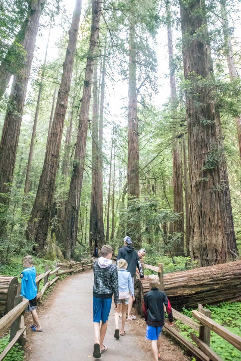 Muir Woods National Monument