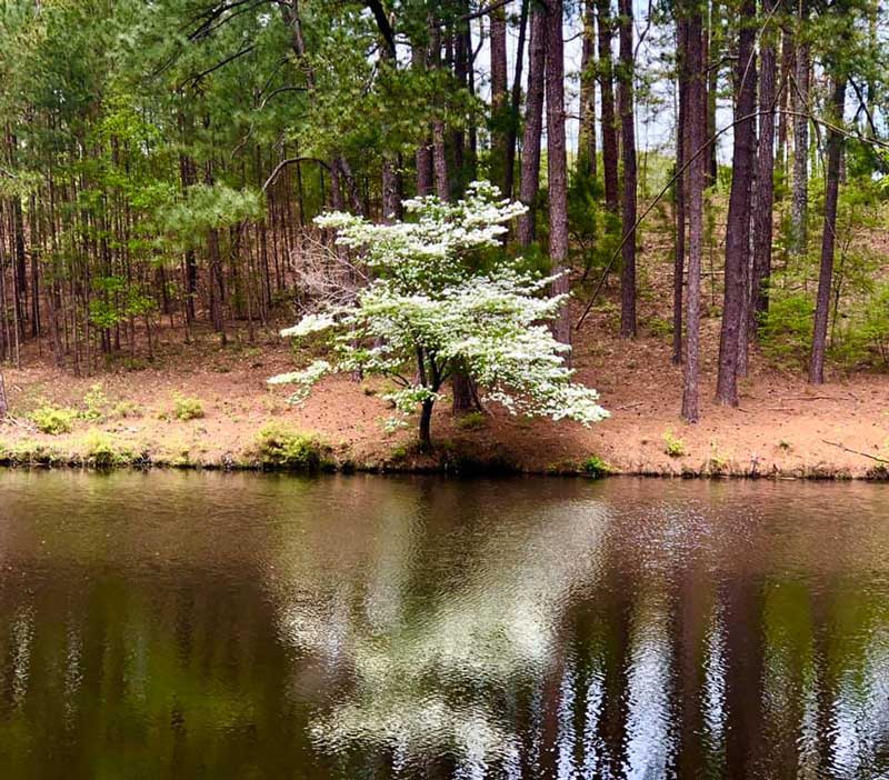 Oak Mountain State Park