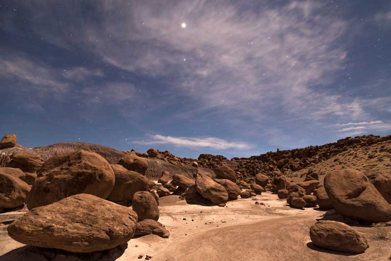 Petrified Forest National Park