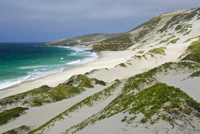 San Miguel Island, California