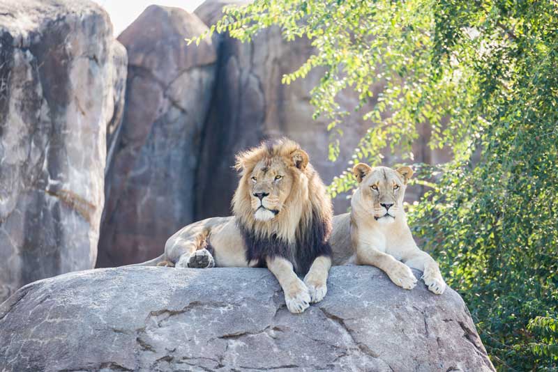 Sedgwick County Zoo