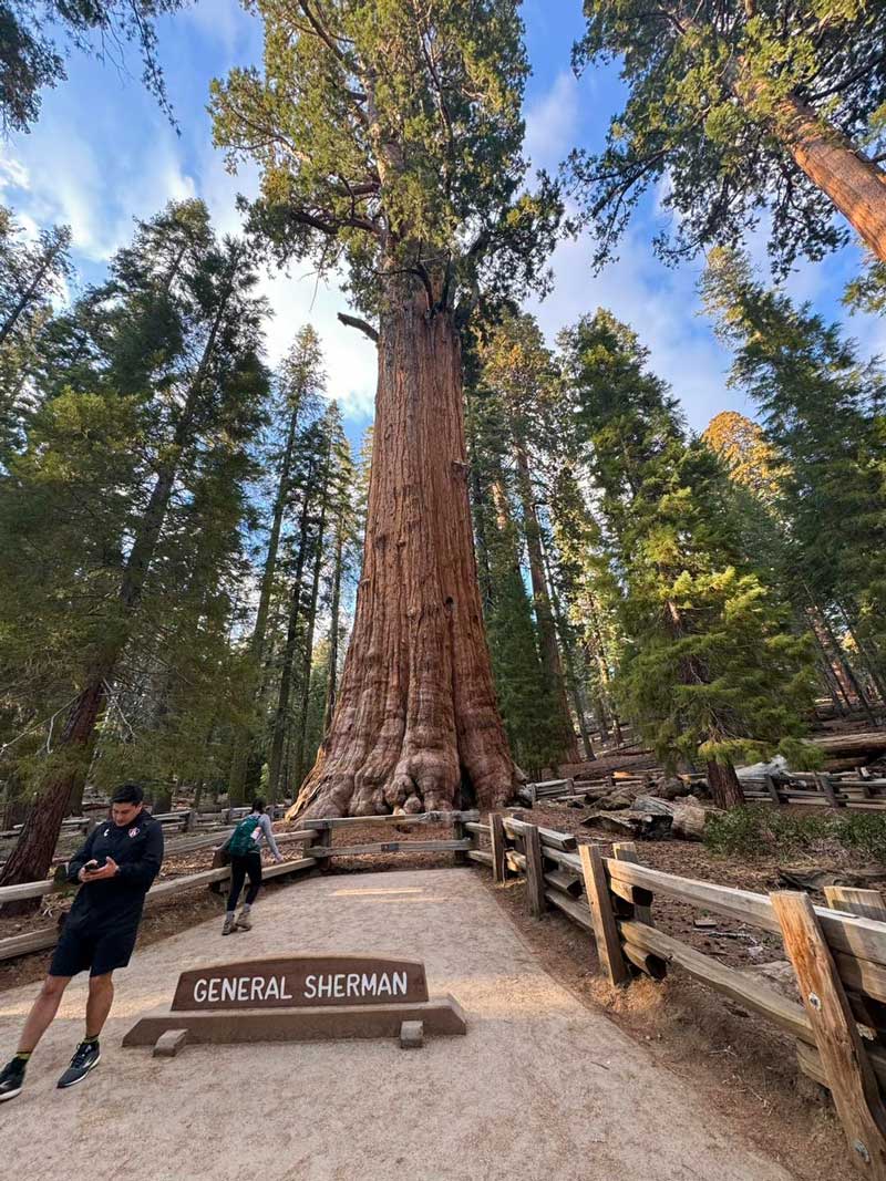 Sequoia National Park